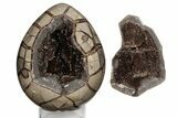 Polished Septarian Dragon Egg Geode #191460-2
